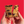 Load image into Gallery viewer, Chocolate Peanut Butter Crunch Bark
